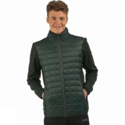 Regatta Mens Chilton Hybrid Jacket Darkest Spruce